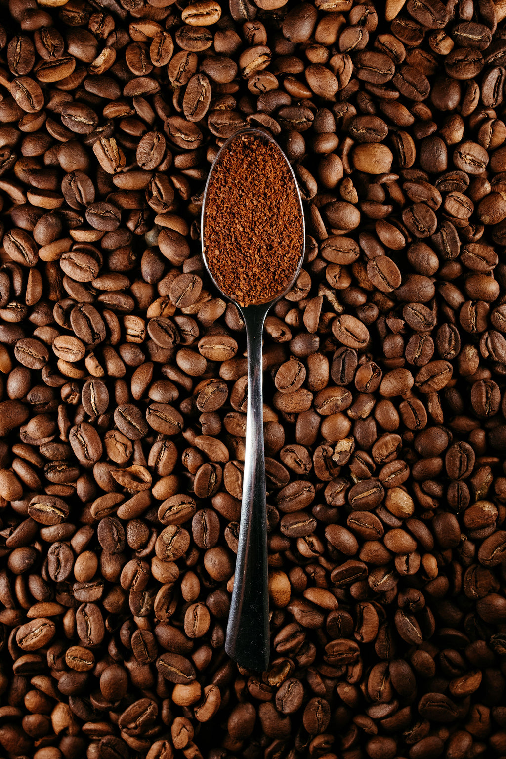 Multi-Functional Electric Spice & Coffee Grinder